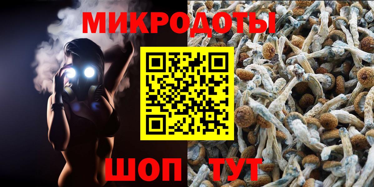 Псилоцибиновые грибы GOLDEN TEACHER  Галлюциногенные грибы Psilocybe  Щёлково  купить   Вход с VPN 