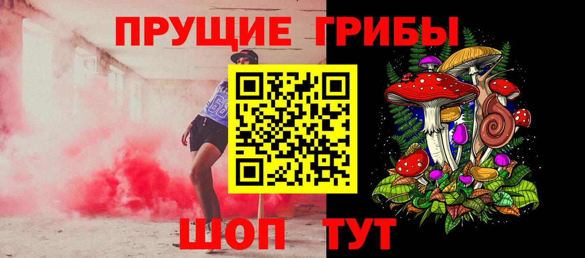 Псилоцибиновые грибы Psilocybine cubensis Щёлково